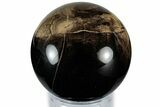 Polished Petrified Wood Sphere - California #309179-1